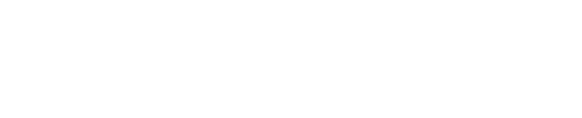 FlowState Surf + Sport